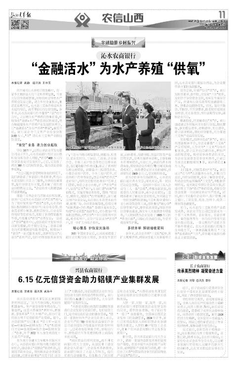 第11版